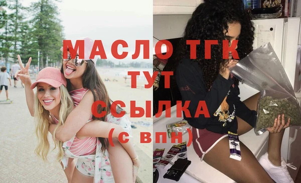 гидра Няндома