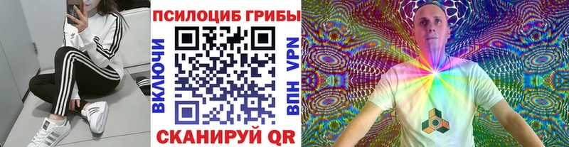 Галлюциногенные грибы Psilocybe  Няндома 